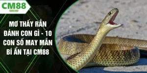 Mơ Thấy Rắn Đánh Con Gì - 10 Con Số May Mắn Bí Ẩn Tại CM88